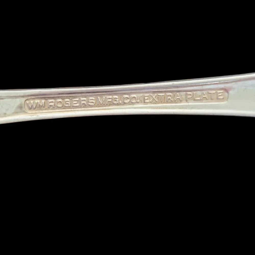William Rogers Mfg Co GRAND ELEGANCE Serving Spoon & Fork Silverware Extra Plate